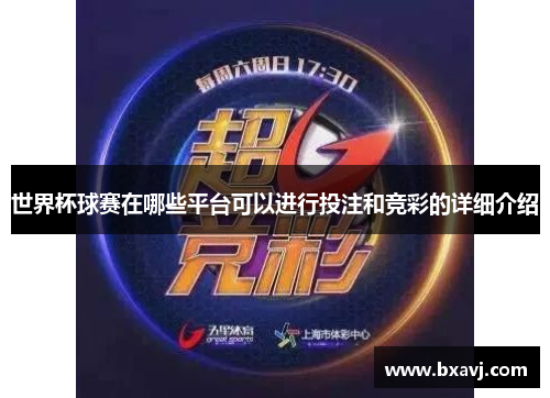 世界杯球赛在哪些平台可以进行投注和竞彩的详细介绍