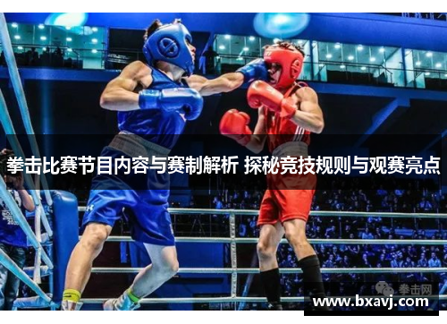 拳击比赛节目内容与赛制解析 探秘竞技规则与观赛亮点