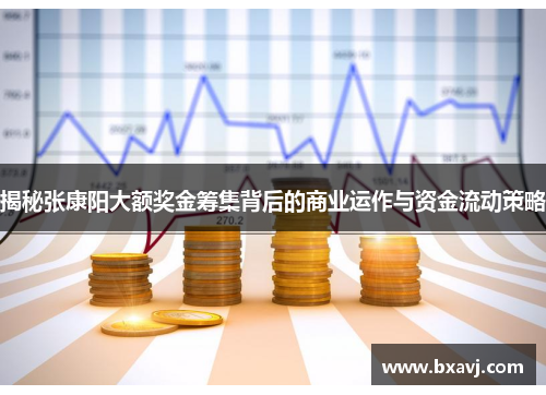 揭秘张康阳大额奖金筹集背后的商业运作与资金流动策略