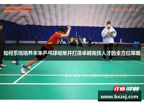 如何系统培养未来乒乓球明星并打造卓越竞技人才的全方位策略
