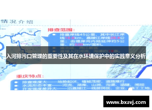 入河排污口管理的重要性及其在水环境保护中的实践意义分析