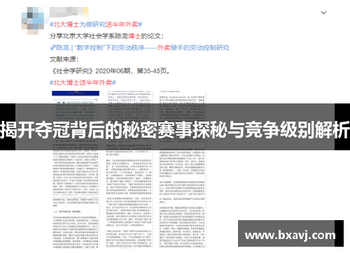 揭开夺冠背后的秘密赛事探秘与竞争级别解析