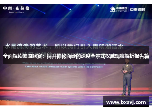 全面解读欧国联赛：揭开神秘面纱的深度全景式权威观察解析报告篇